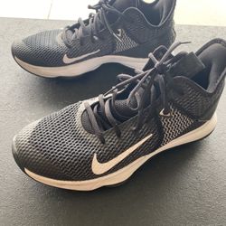 LeBron Witness 4s