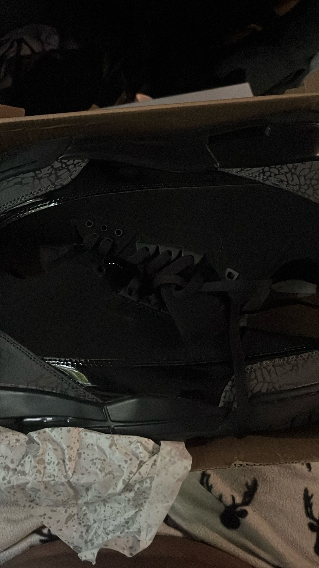 Jordan 3 Black Cat 
