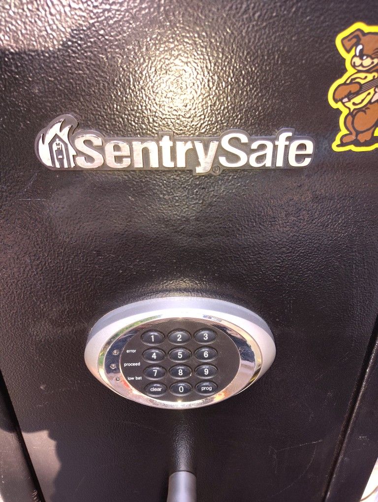 10 GunSentry Safe