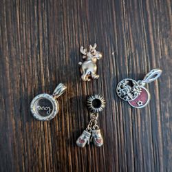 Pandora Charms