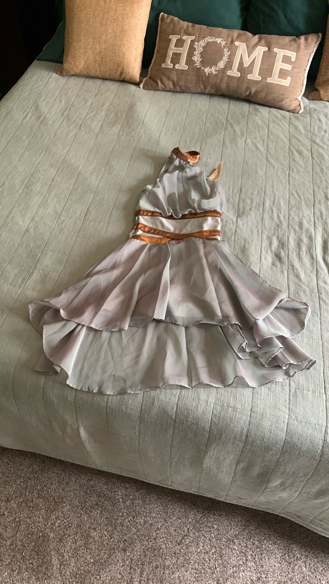 Dance/Skating Outfit