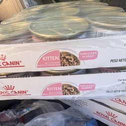 Royal Canin kitten Food (wet)   