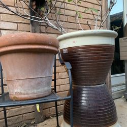 Oversized Planter $24 Each