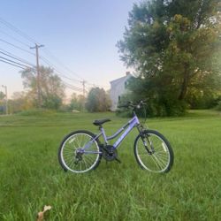 Purple mountain bike
