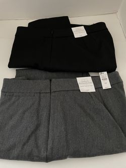 Brand New w/tags Women’s Talbot Pants Size 14P