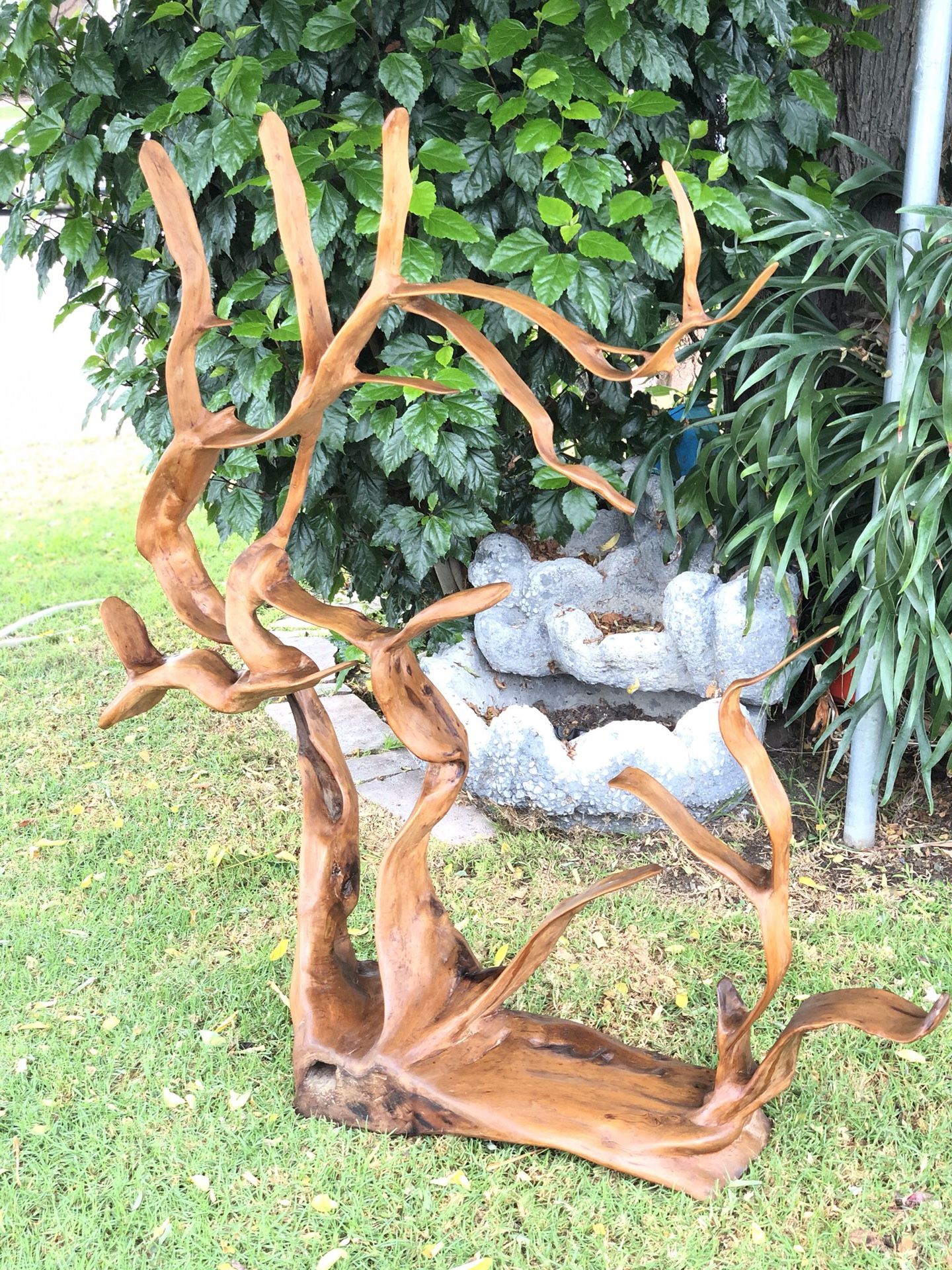 Large Unique coral looking driftwood piece