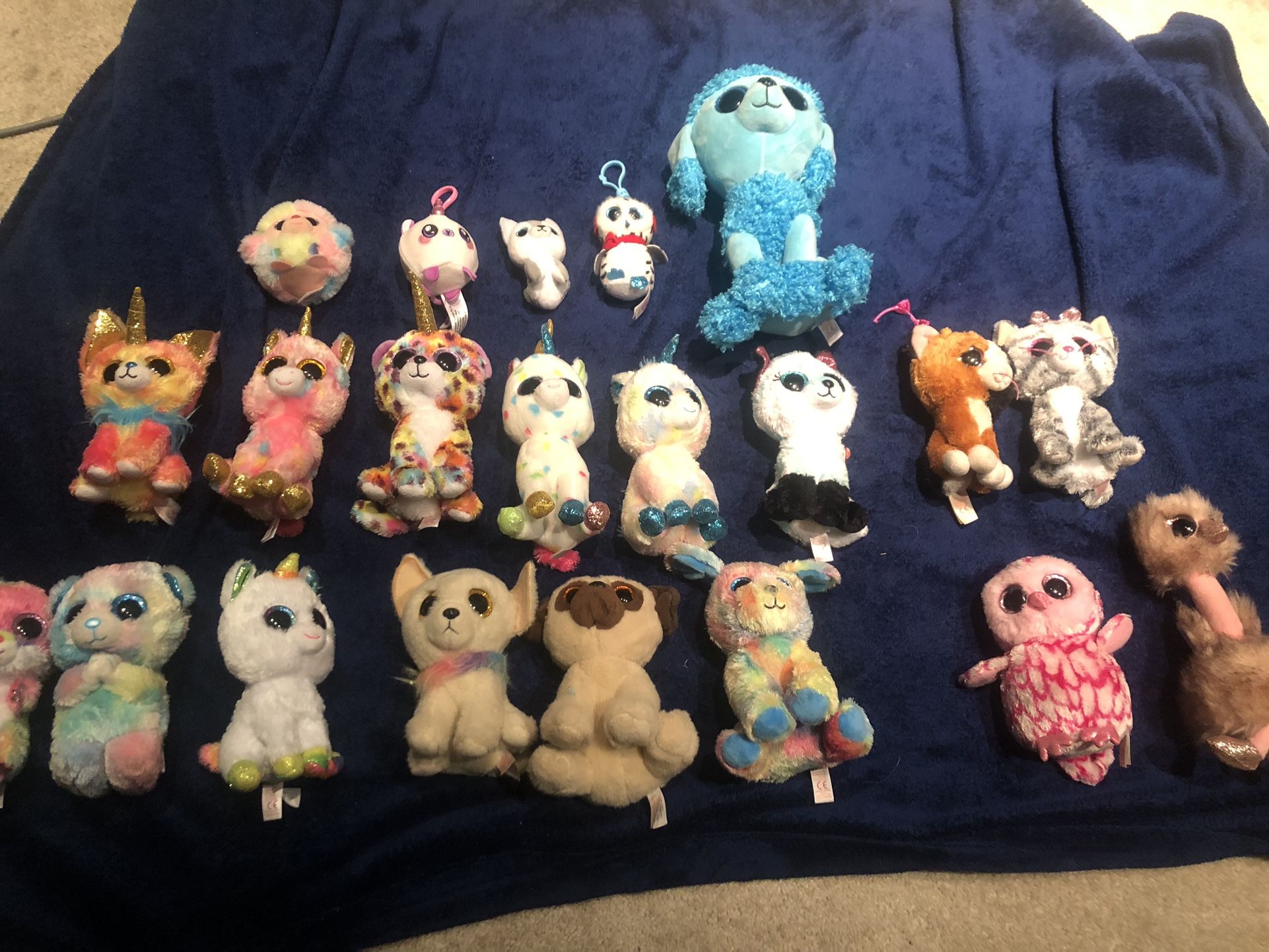 17 Beanie Boos New
