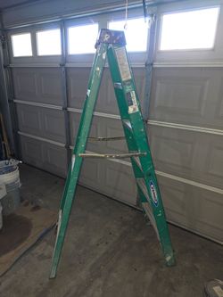 Werner 6 Ft Ladder