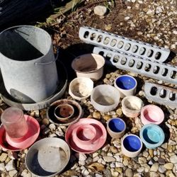 Poultry Feeders and Waterers