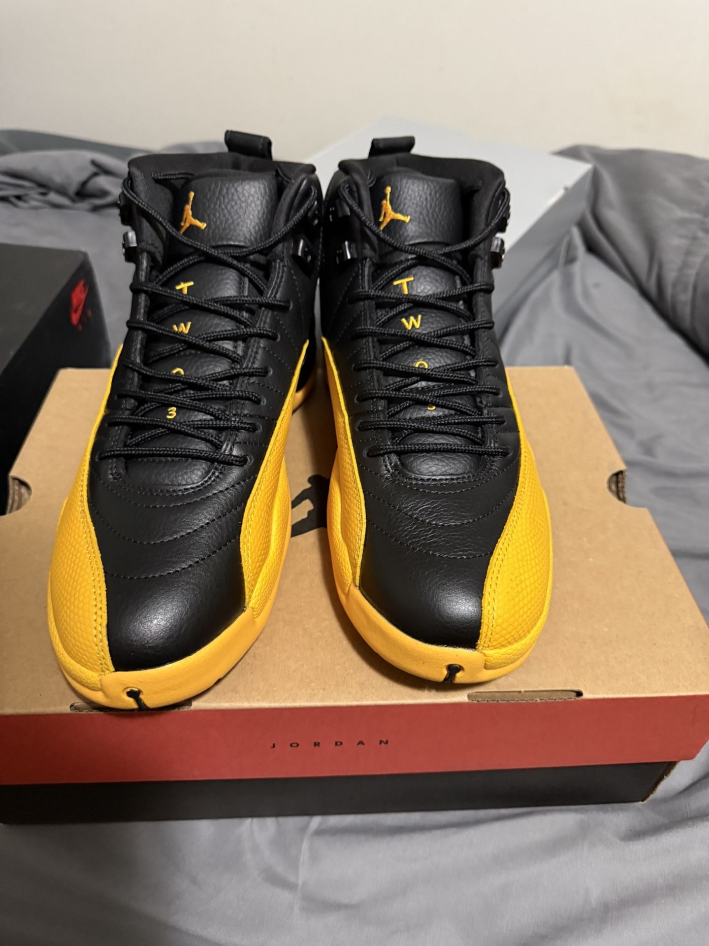 Jordan 12 University Gold Size 10