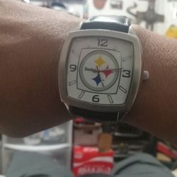 Steelers Watch