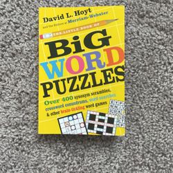 Big Word Puzzles Book