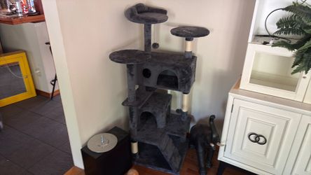 Cat tree brand new in the box