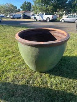 Pot