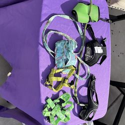 Small to x small dog leashes and harnesses