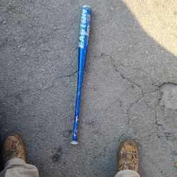 Easton Baseball Bat- X-treme