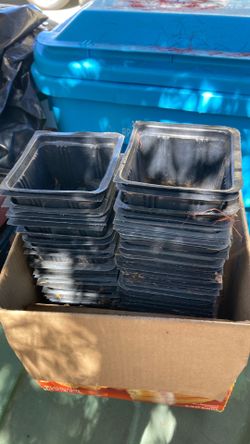 4-inch seedling pots (40+). — FREE