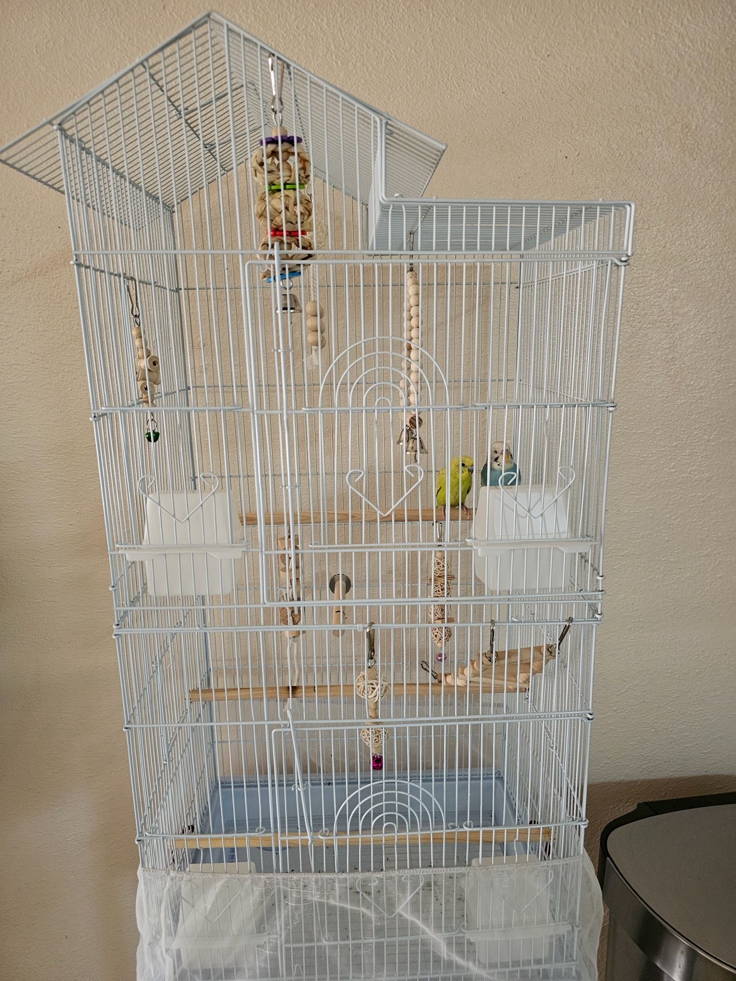 Bird cage and accessories