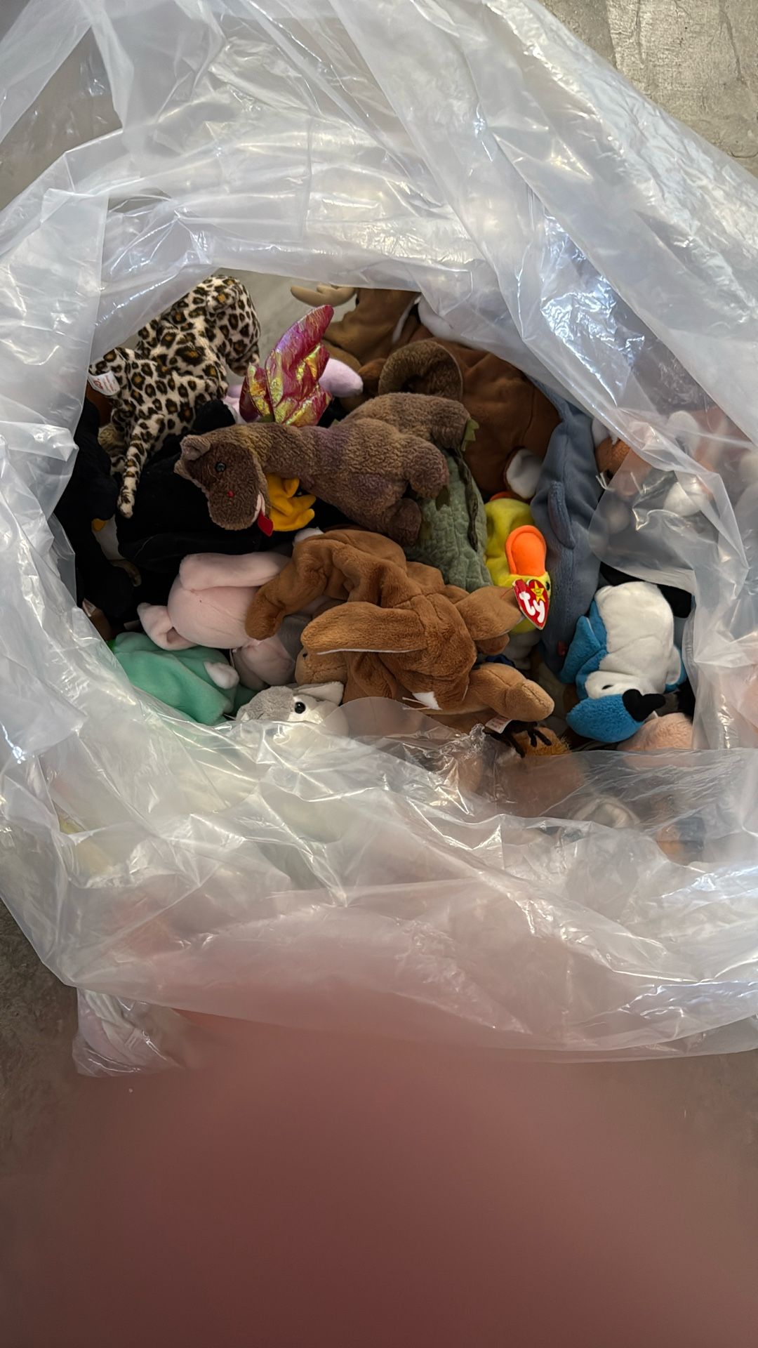 Beanie Babies And Stuffed Animals