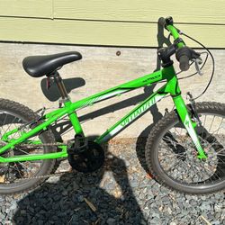 20” Specialized Bike