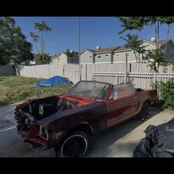 1964 1/2  mustang factory v8 convertible
