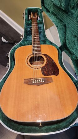 Ibanez 12 string acoustic