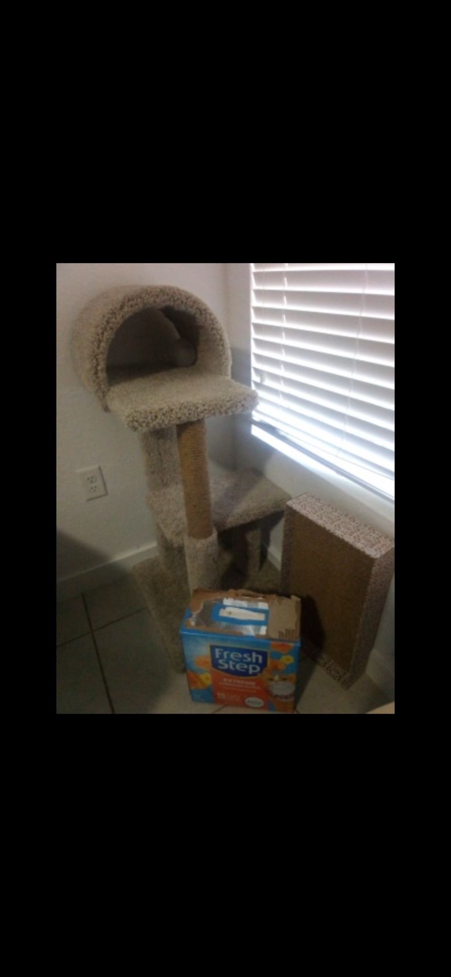 For cats Sleep Play And Scratching Paws