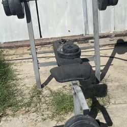 Weights & Bench