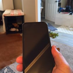 iPhone 12 Pro Max AND Apple Watch 44mm 