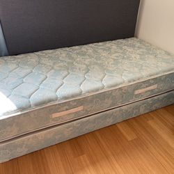 Twin Mattress And Box Spring