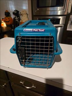 Small pet taxi carrier