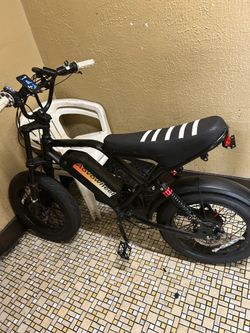 Fat wheel electric bike