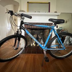 Specialized RockHopper bike with Manitou Magnum fork