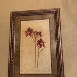 Picture  Medium/Large