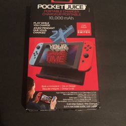 Nintendo Switch Portable Charger