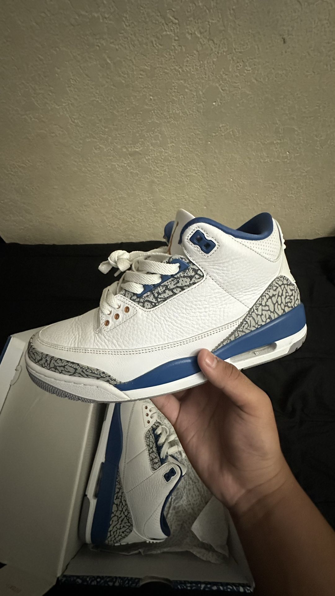 Jordan 3 Wizards 