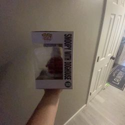 Snoopy With Dog House