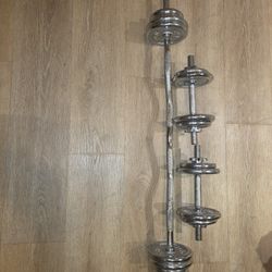 Dumbell/ Curlbar Weight Set