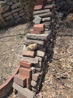 Bricks
