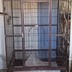 Bird cage