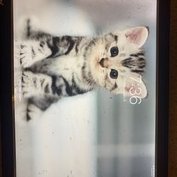 iPad Pro 128 Go Come With Keyboard