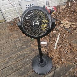 Price Is Firm.. Lassco Pedestal Fan