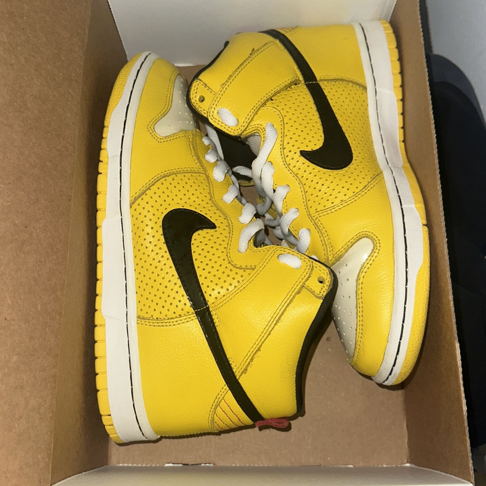 Nike Shoe Nike Sb Dunk Wet Floor Nike Dunk High Premium SB 'Wet