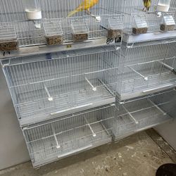 Canary Breeding Cage