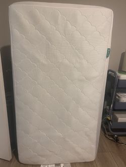 Newton crib mattress & Waterproof Mattress Pad