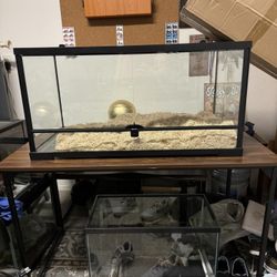 reptile and fish tanks
