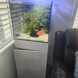 Rimless Fish Tank 