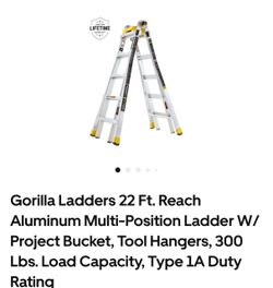 Gorilla 22 foot ladder