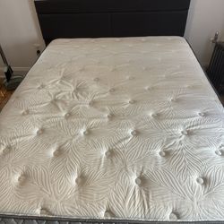 Queen Size Bed Frame and Sealy Mattress 