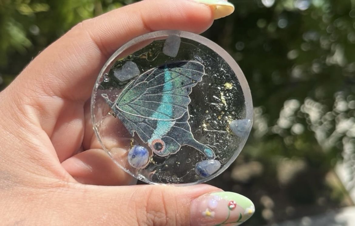 Butterfly Magnet 🦋